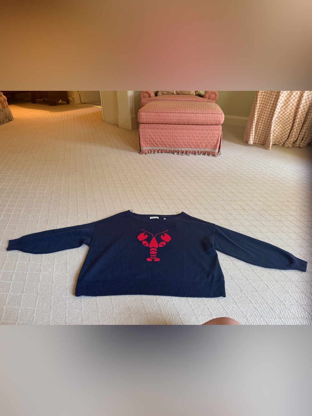 Hollister Navy Crewneck Sweater with Red Lobster Graphic